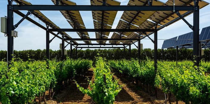Projeto sobre uso de energia solar na agricultura avança em Minas Gerais